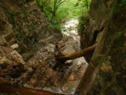 2013-07-20_Regina-F-Rau_Kochel-Rabenkopf (065).JPG